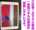 iPadミニ5の液晶の損傷で画質不良！一体型パネルは液晶まで損傷しがちです(´;ω;｀)